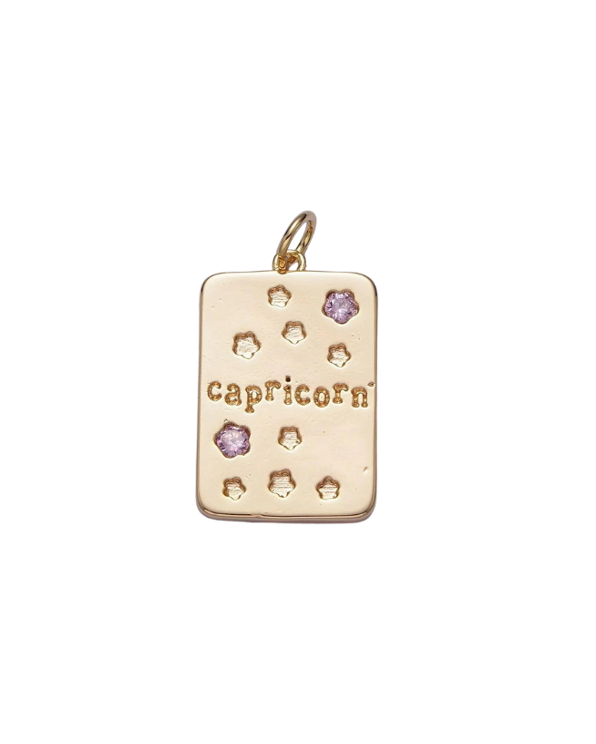 Gold Zodiac Tag with Pink CZ Charm