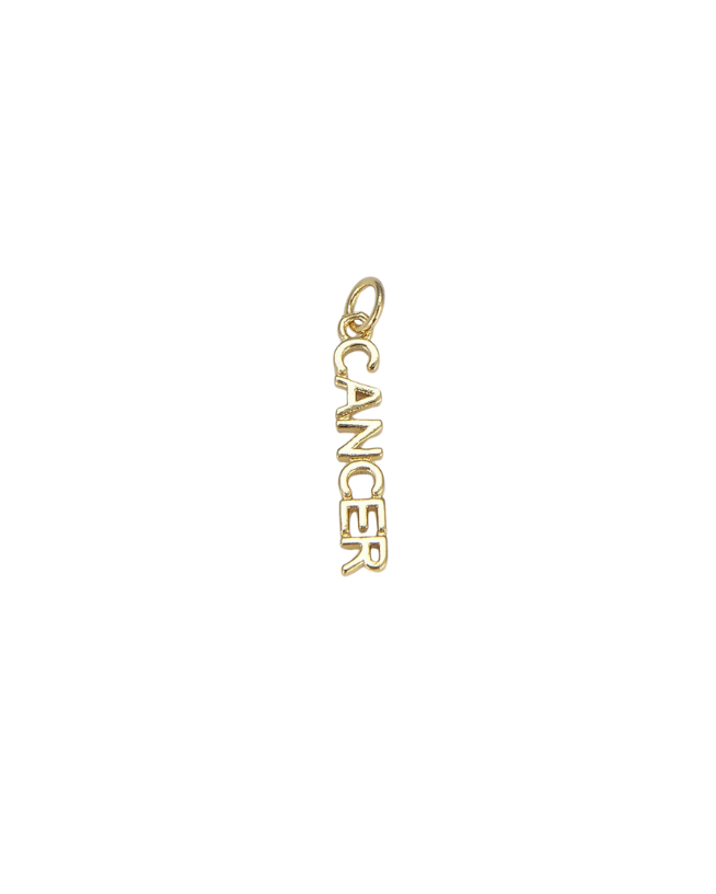 Zodiac Word Charm
