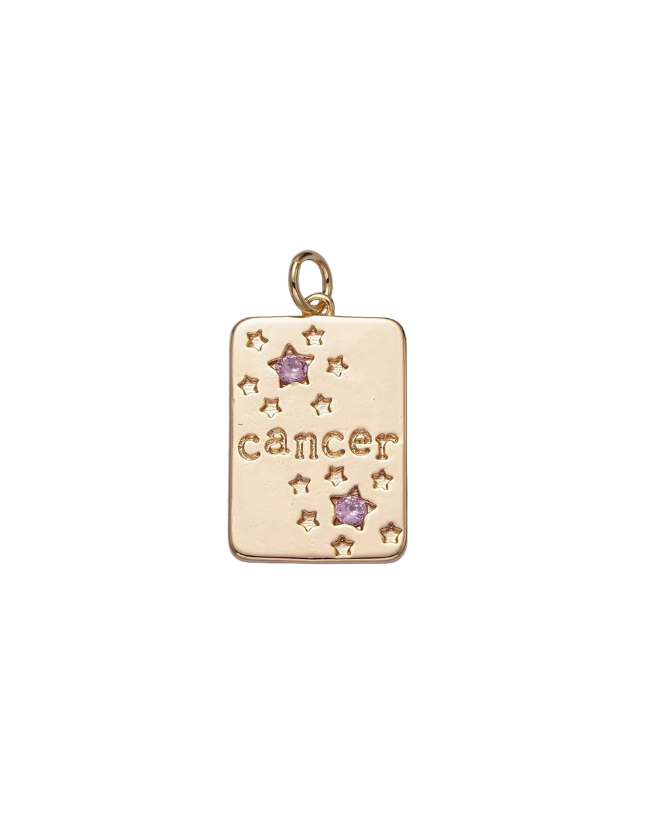 Gold Zodiac Tag with Pink CZ Charm