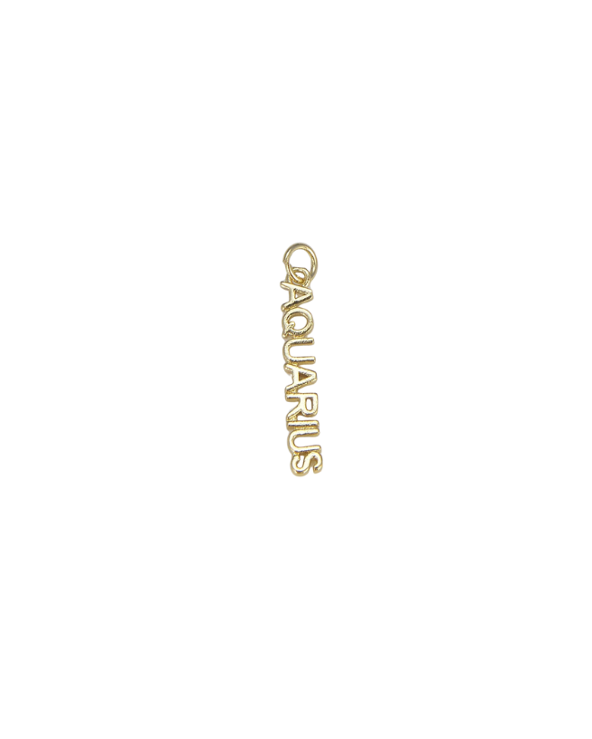Zodiac Word Charm