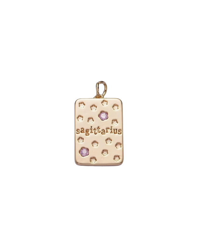 Gold Zodiac Tag with Pink CZ Charm