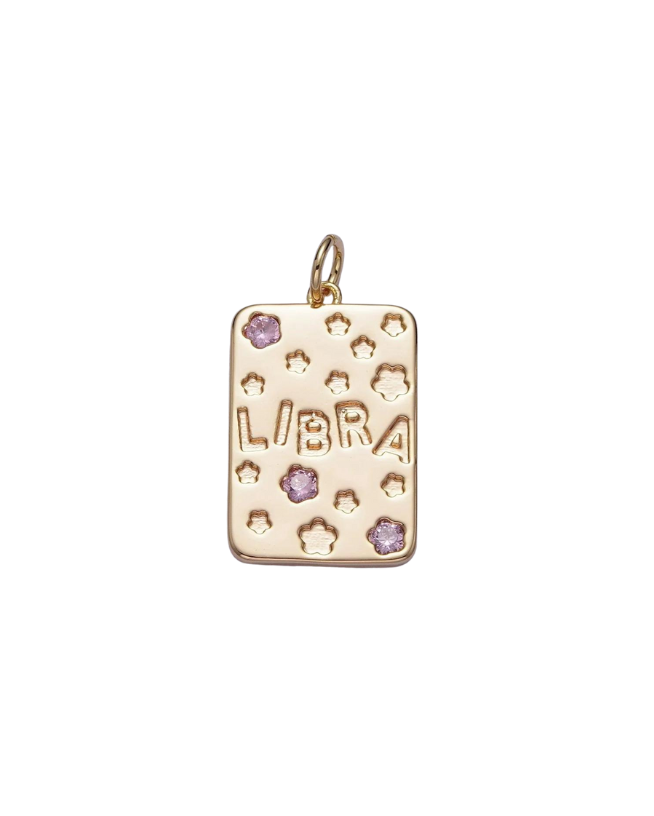 Gold Zodiac Tag with Pink CZ Charm