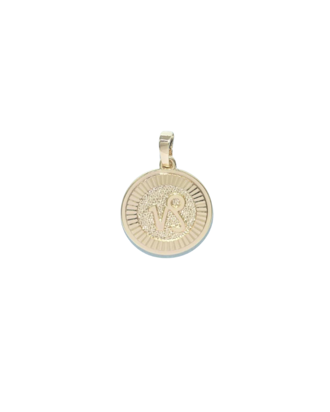 Gold Celestial Zodiac Coin Charm