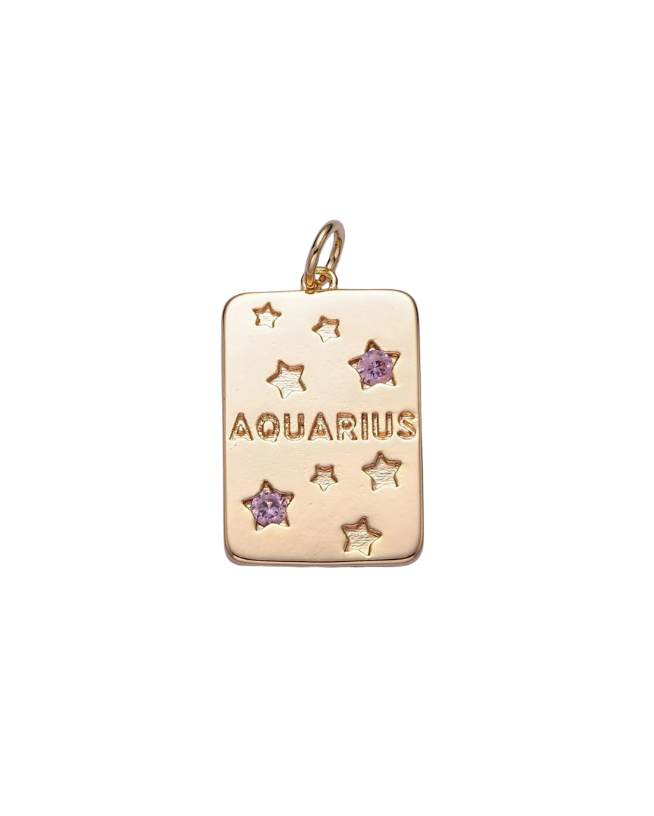 Gold Zodiac Tag with Pink CZ Charm