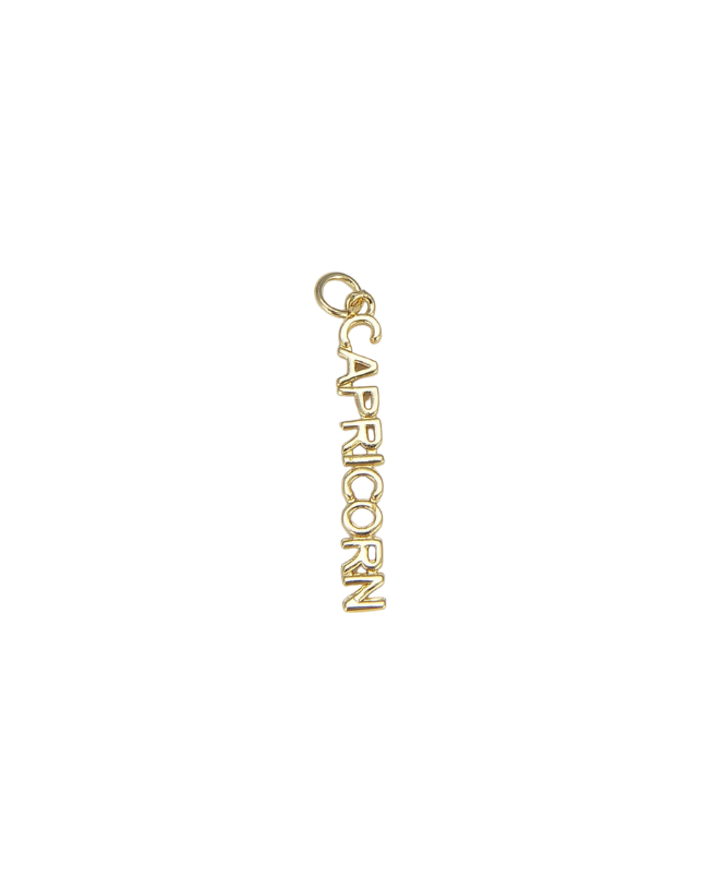 Zodiac Word Charm