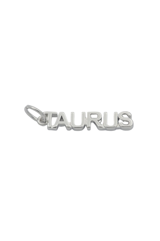 Zodiac Word Charm