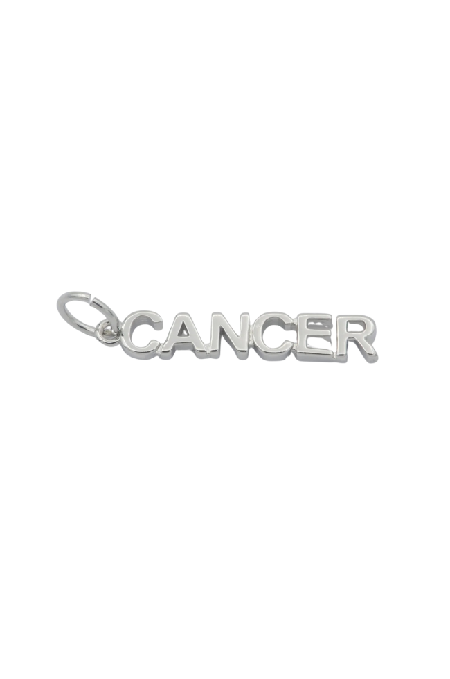 Zodiac Word Charm