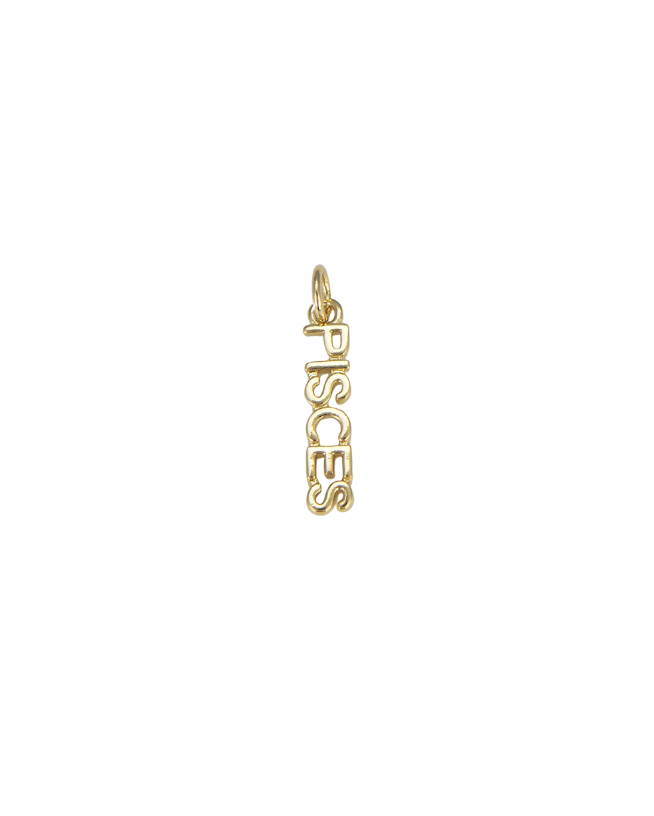 Zodiac Word Charm