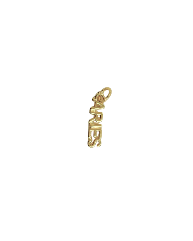 Zodiac Word Charm