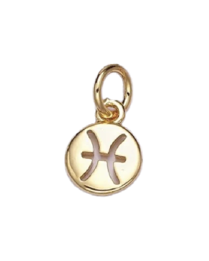 Mini Gold Circle Zodiac Charm