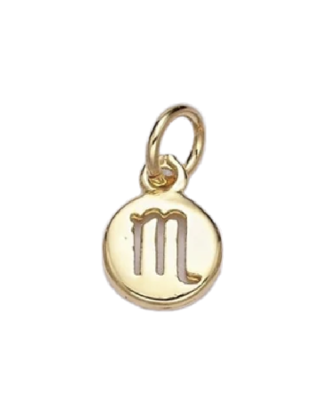Mini Gold Circle Zodiac Charm