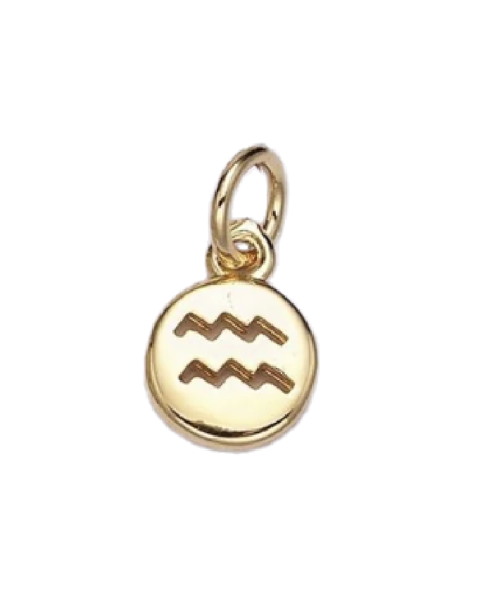 Mini Gold Circle Zodiac Charm