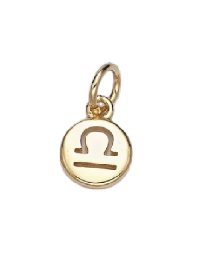 Mini Gold Circle Zodiac Charm
