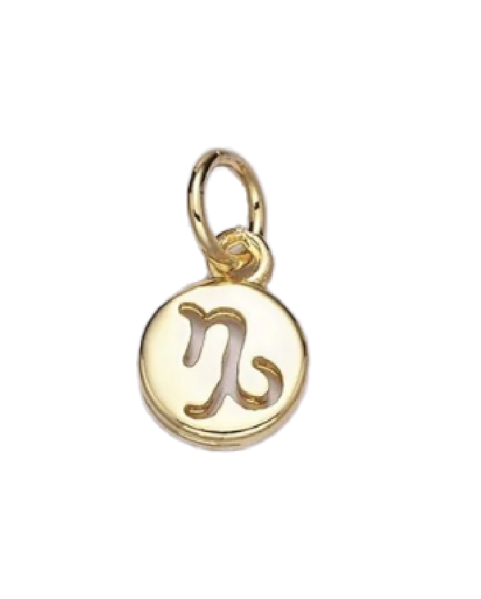 Mini Gold Circle Zodiac Charm