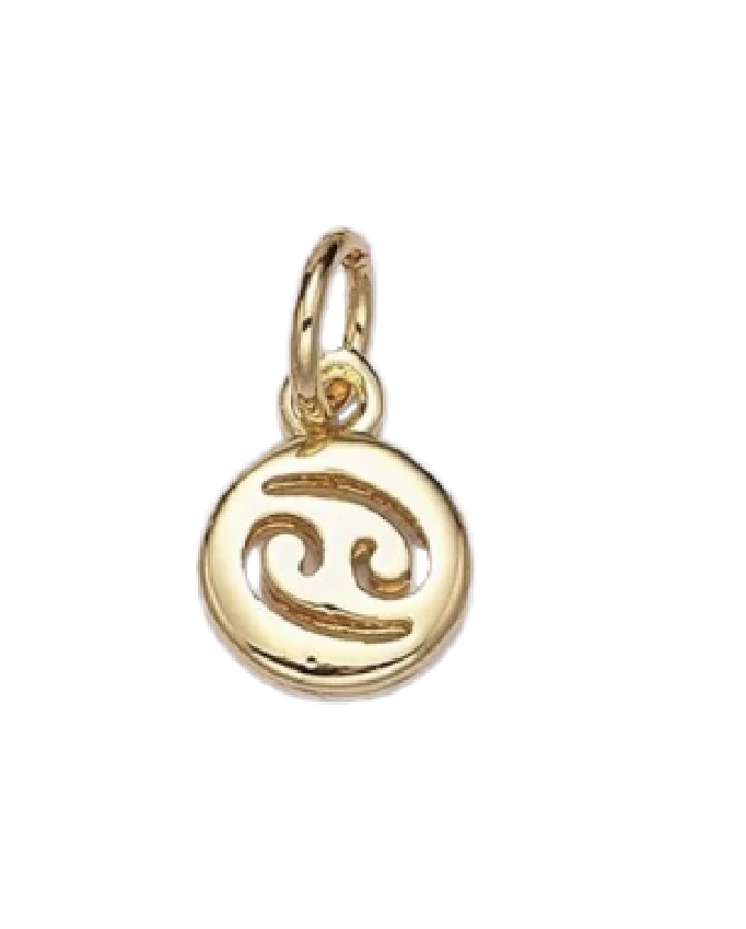 Mini Gold Circle Zodiac Charm