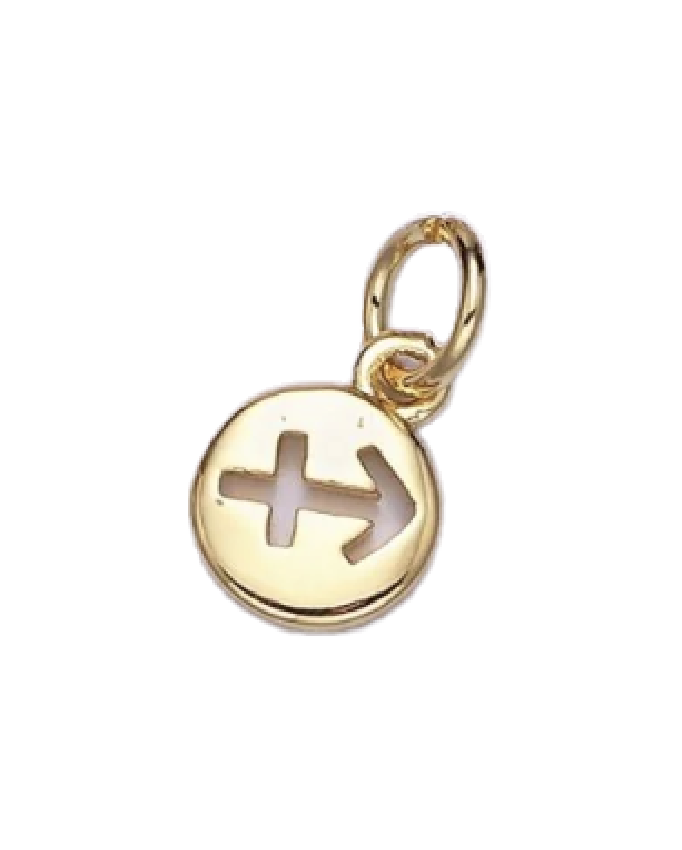 Mini Gold Circle Zodiac Charm